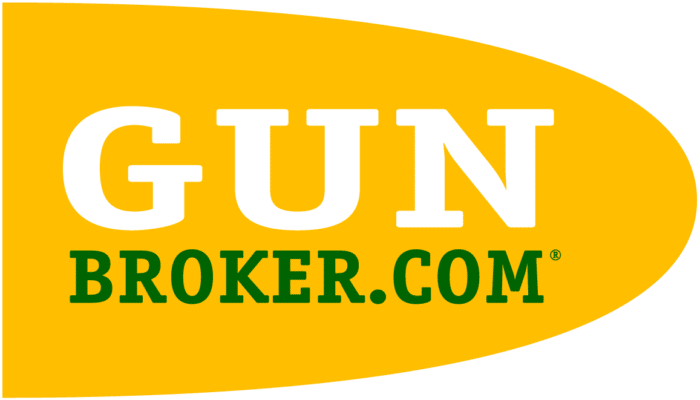 Gunbroker Order #26415922 Hudson H9 Pistol