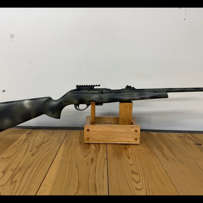 Remington 597 .22 LR – Reliable Rimfire Fun