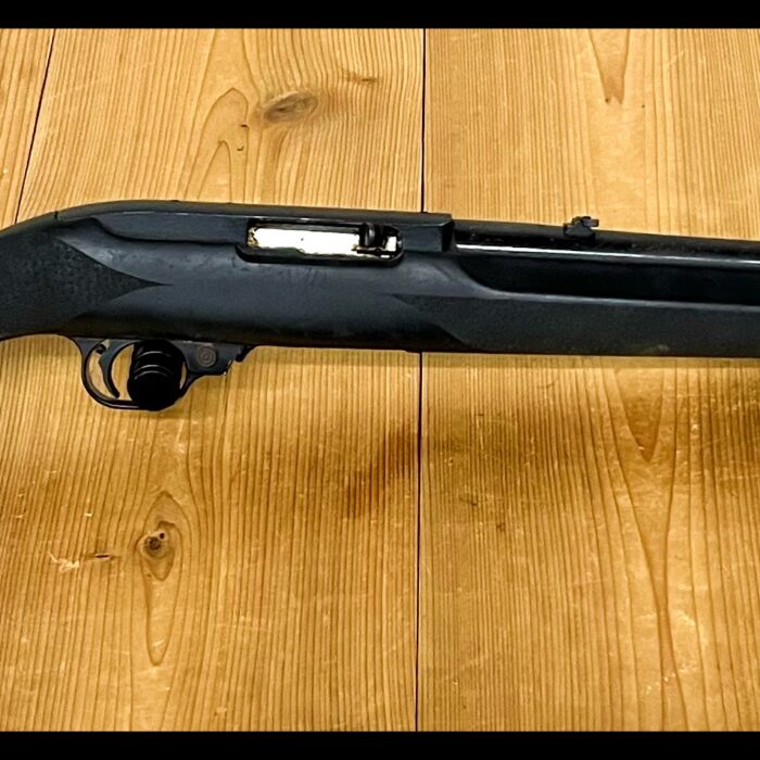 Ruger 10/22 in Houge Stock