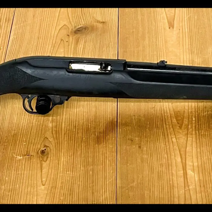 Ruger 10/22 in Houge Stock