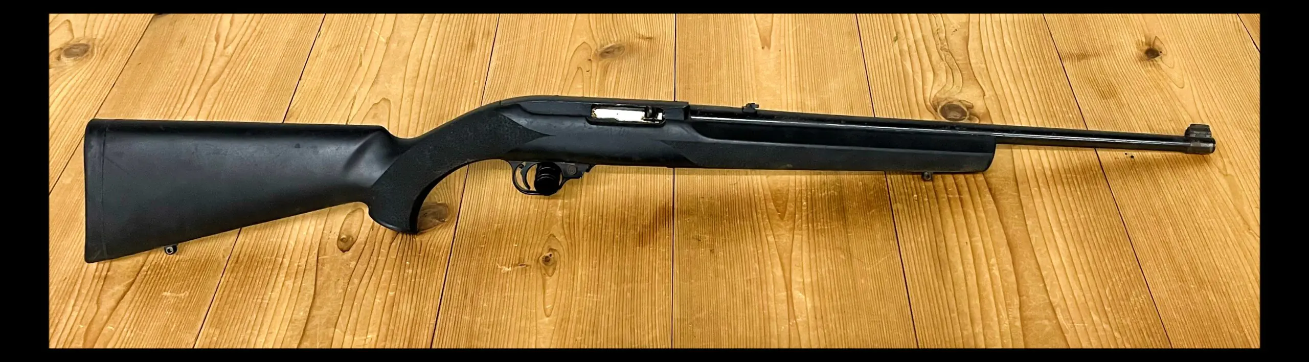Ruger 10/22 in Houge Stock